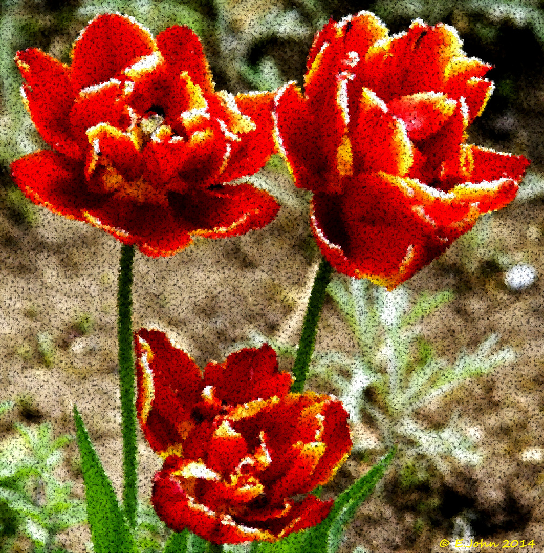 Tulpen digital bearbeitet (gekachelt)
