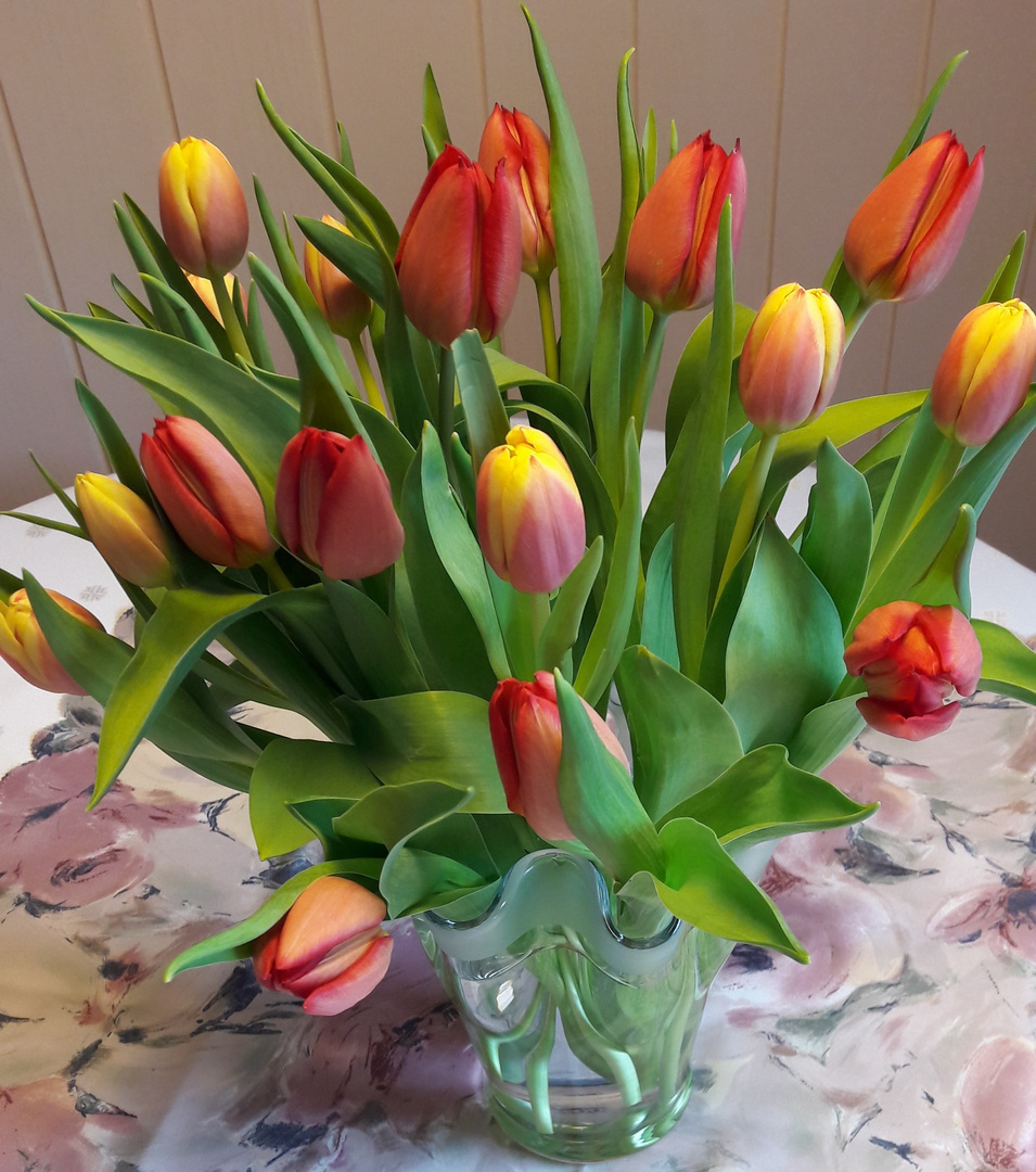 Tulpen...