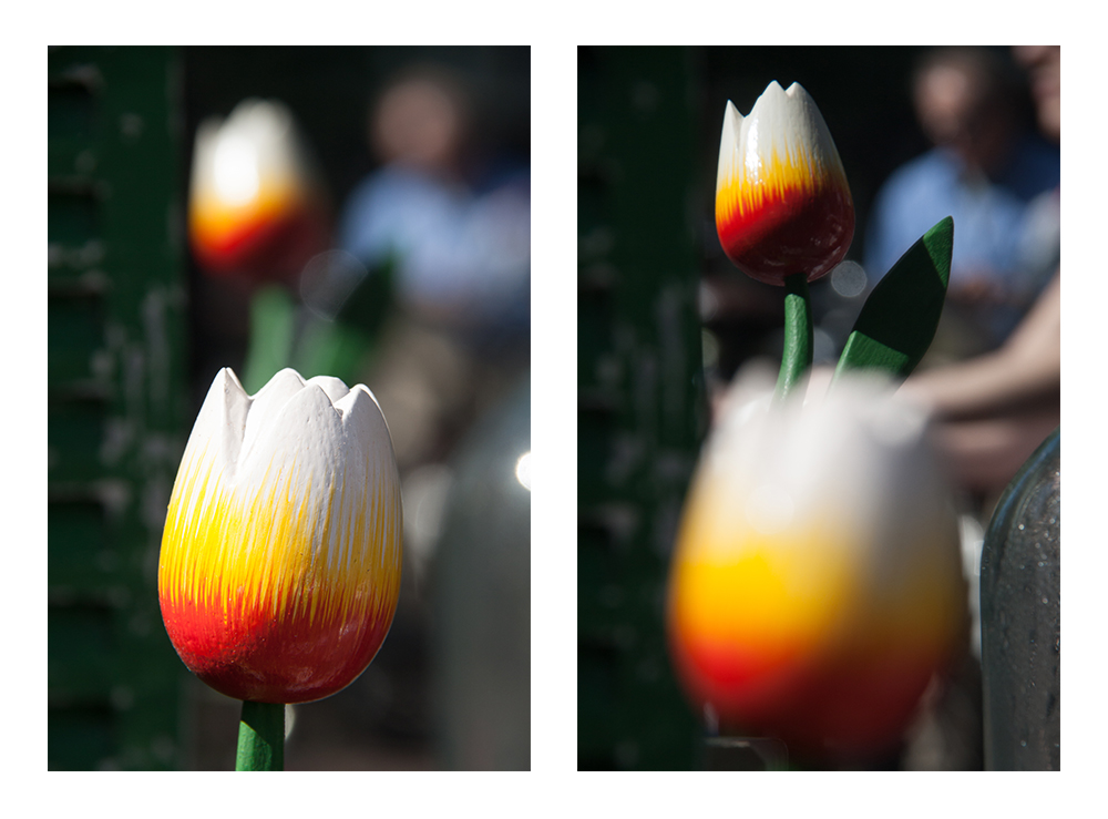 Tulpen find ich scharf