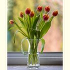 Tulpen für euch