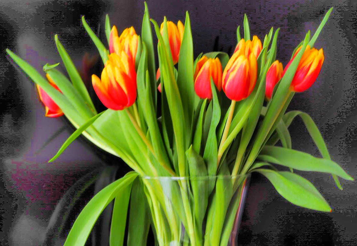 Tulpen für Sonntag