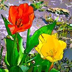 „ Tulpen-Gemälde "