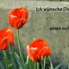 Tulpen - Ich wünsche Dir einen schönen Tag ...