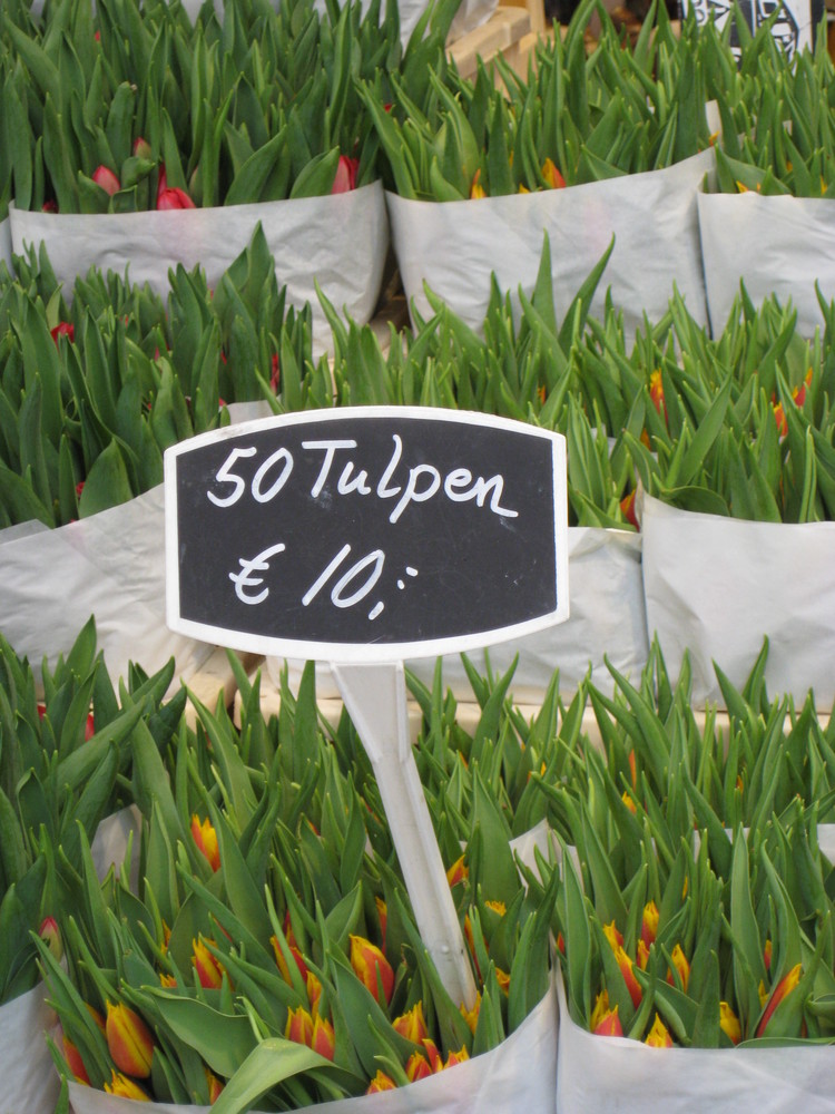 Tulpen im Angebot