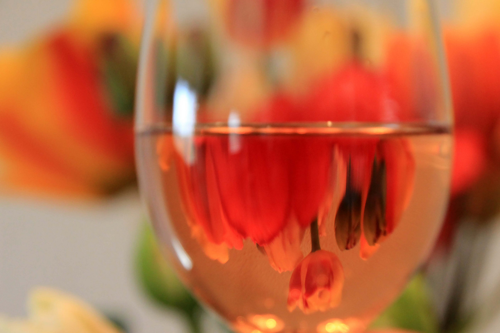 Tulpen im Glas