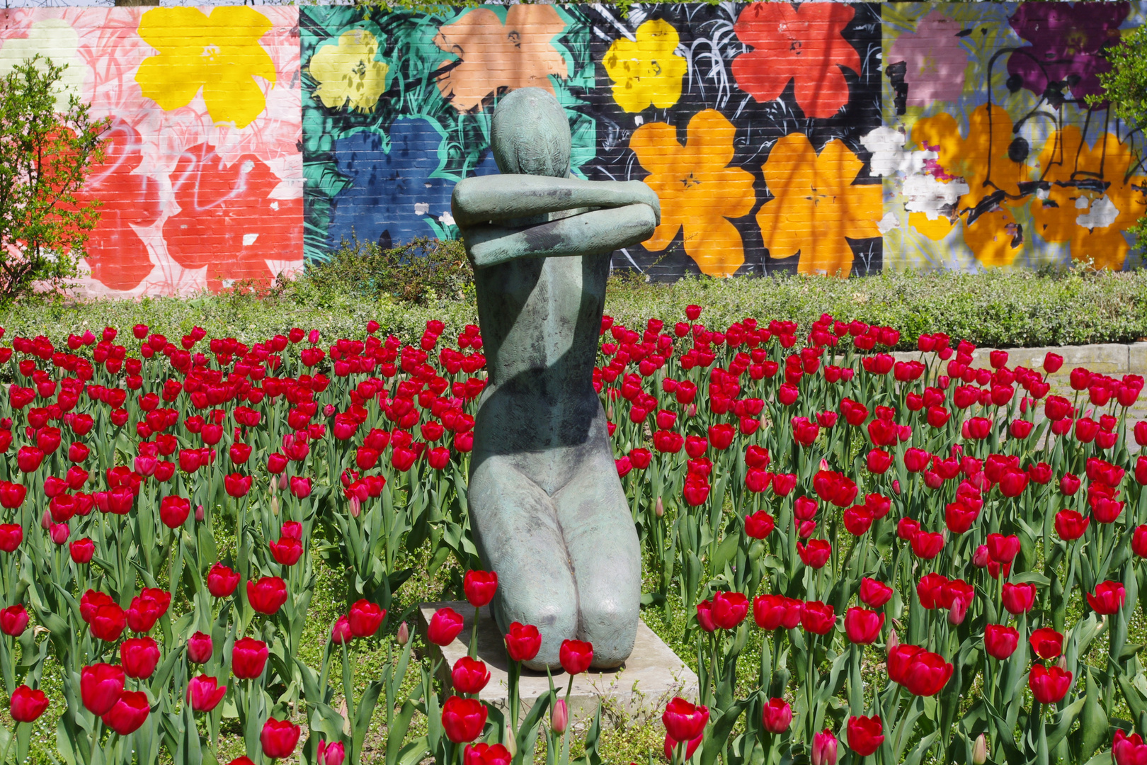 Tulpen im Grugapark