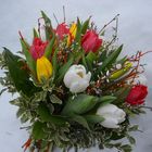 Tulpen im Schnee