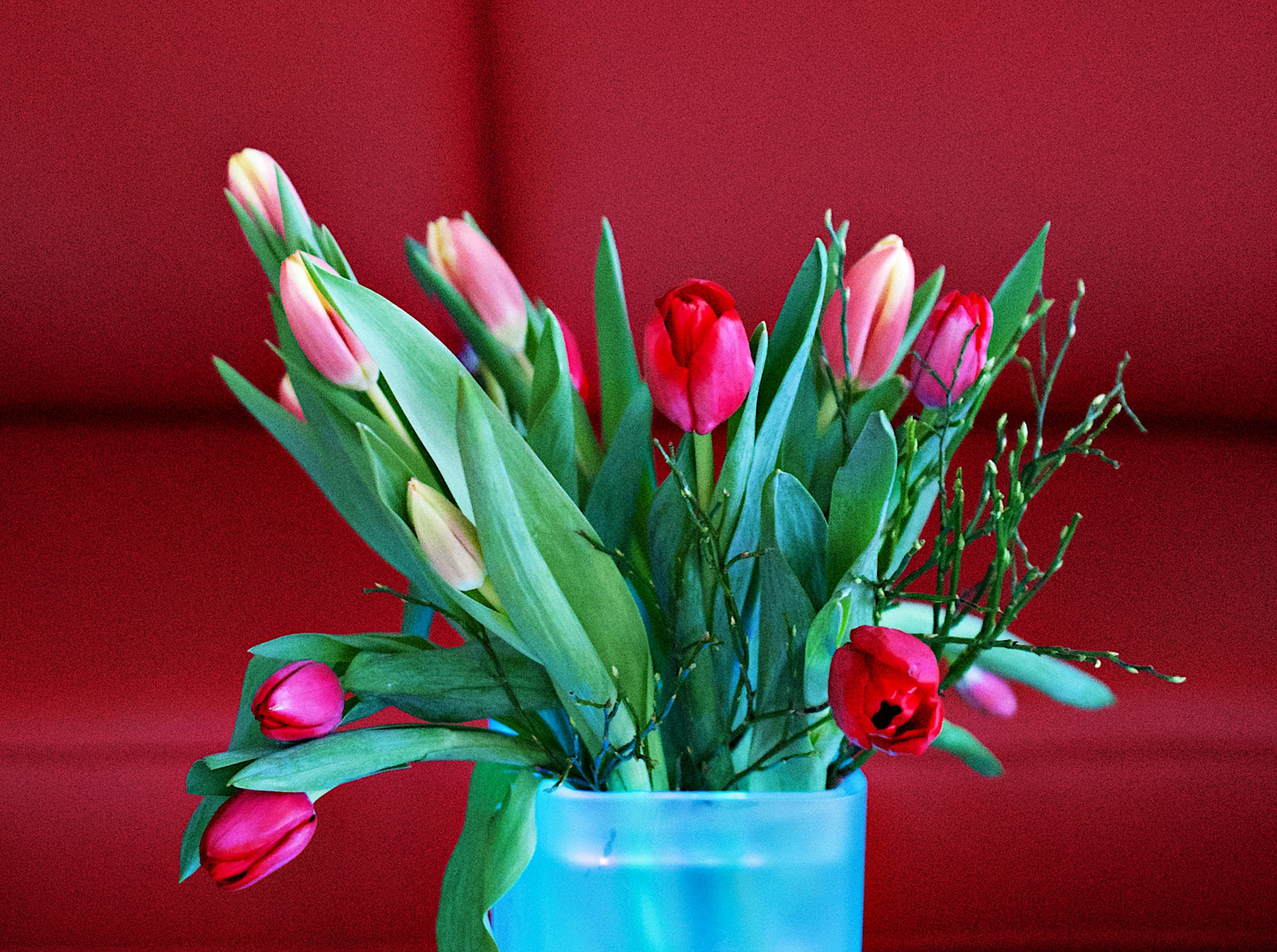 Tulpen in beleuchteter Vase