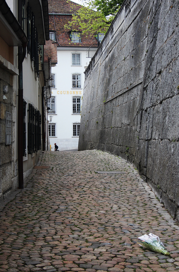 Tulpen in der Seilergasse