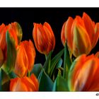 Tulpen in der Vase...