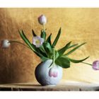 Tulpen - in Farbe und bunt