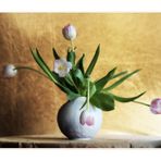 Tulpen - in Farbe und bunt