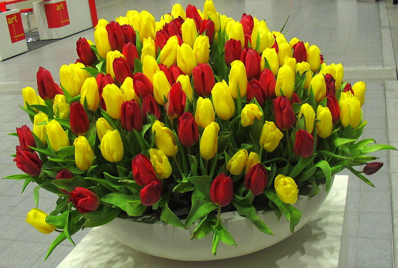 Tulpen in Karlsruhe Messe