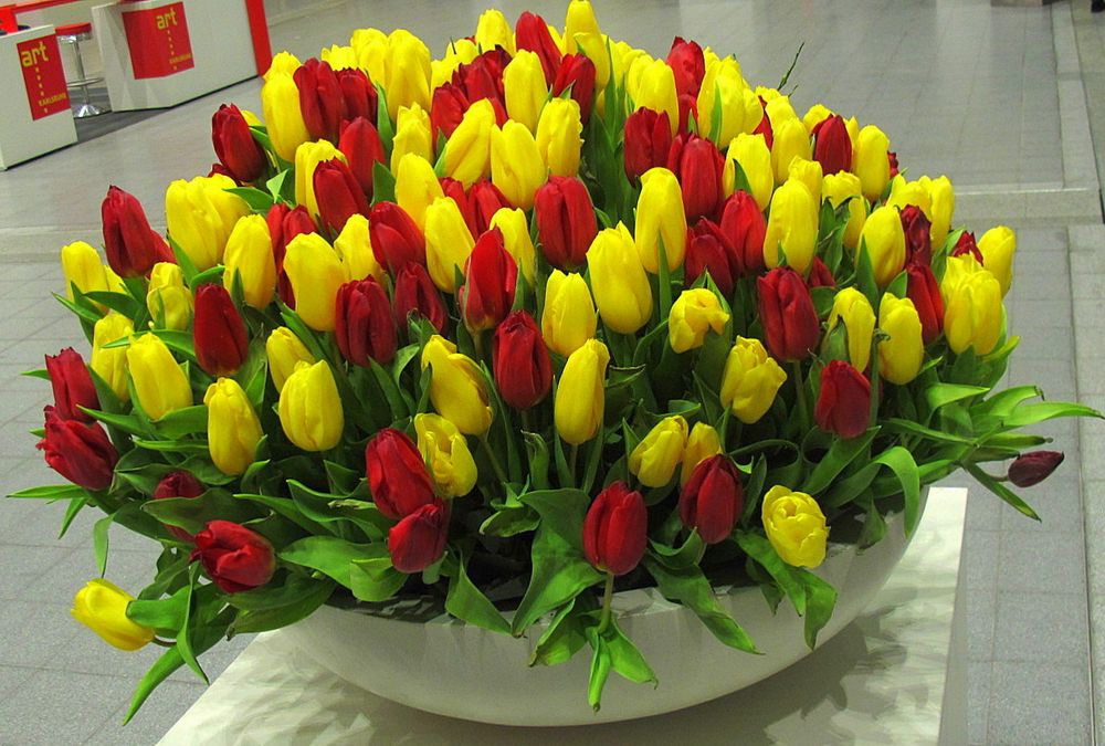 Tulpen in Karlsruhe Messe