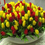 Tulpen in Karlsruhe Messe