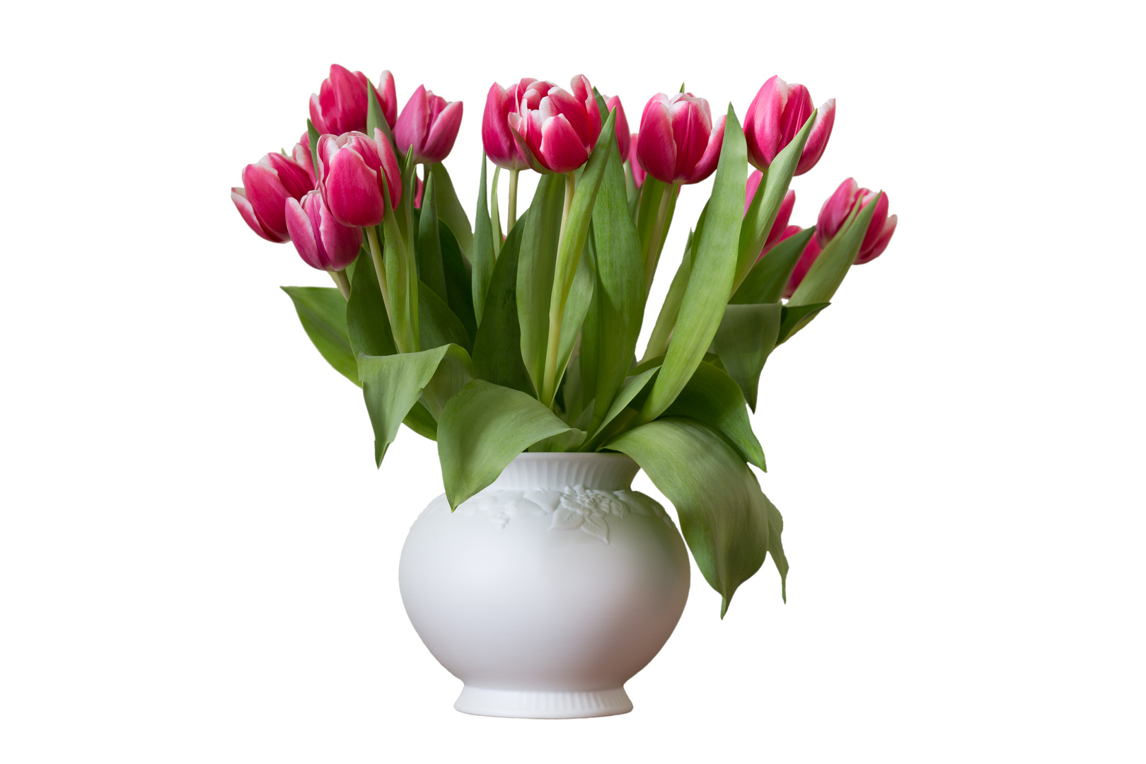 Tulpen in weisser Vase