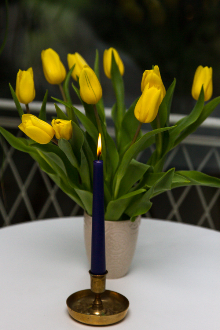 Tulpen Kerze gelb blau-4993