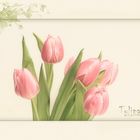 TULPEN PASTELL