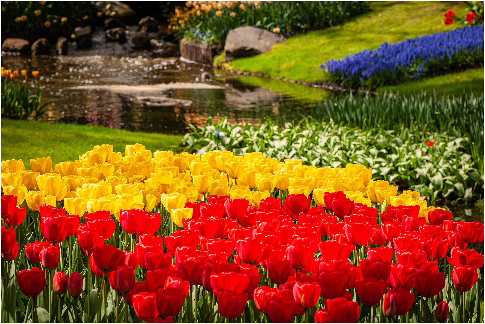 Tulpen und andere Blumen 