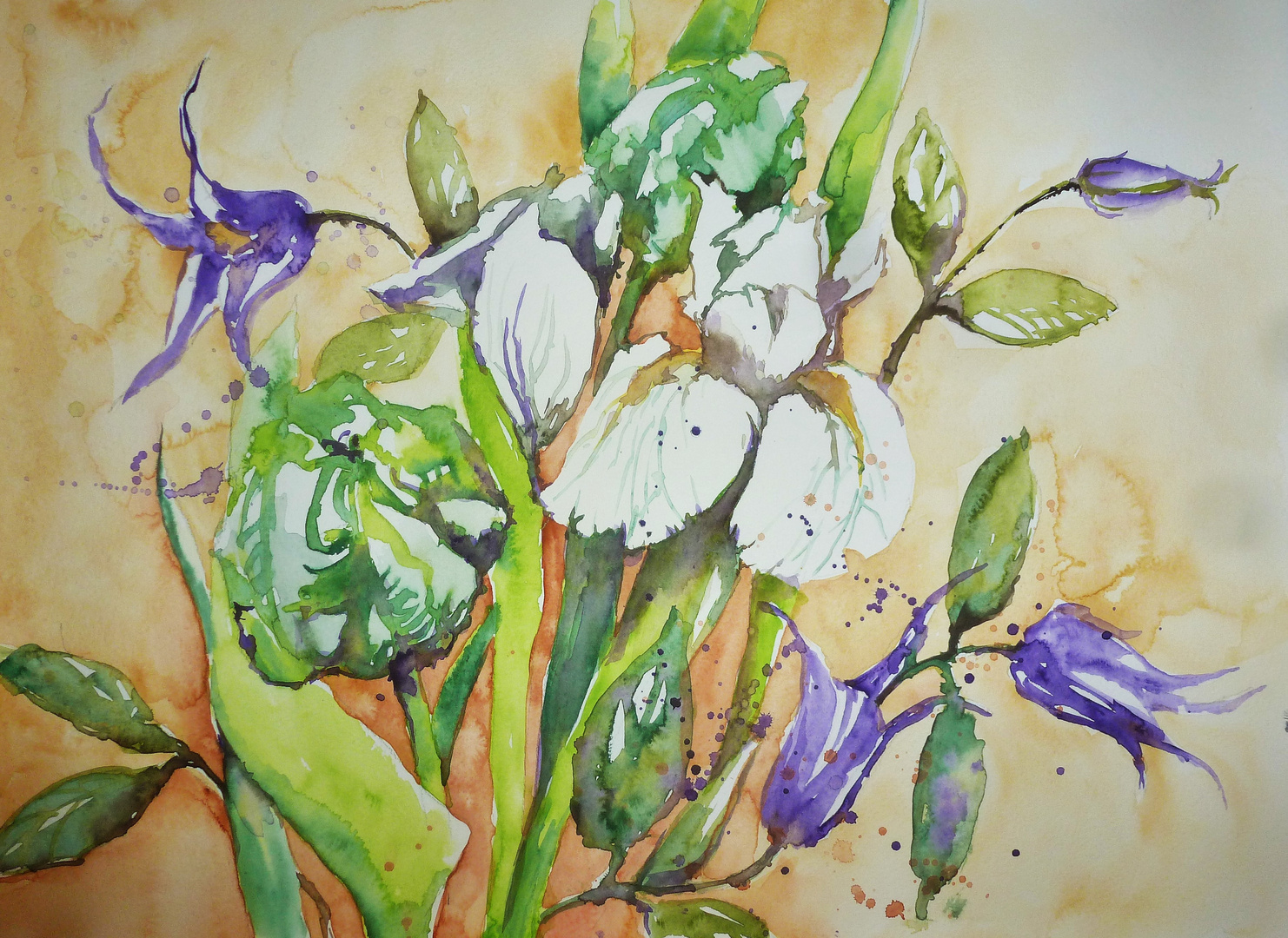 Tulpen und Iris