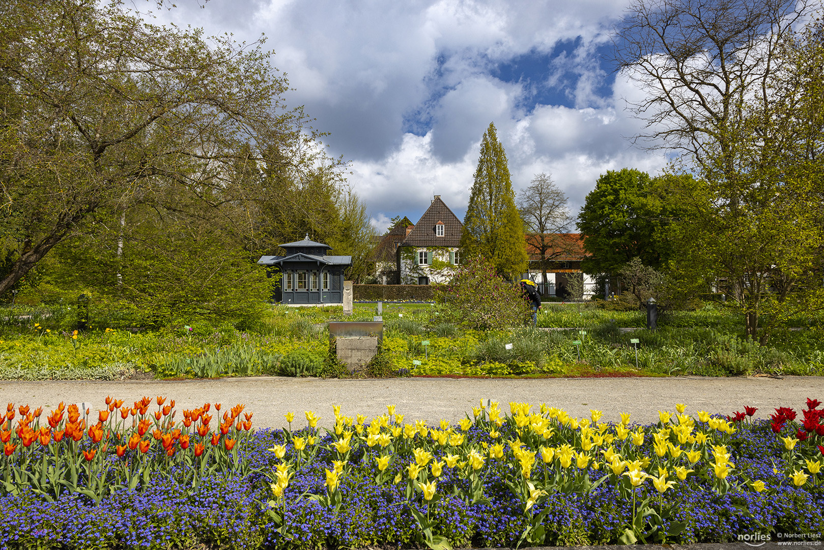 Tulpen und Pavillon