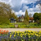 Tulpen und Pavillon