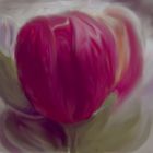 Tulpen, vermalt von mir