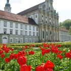  Tulpen vor der Kirchenfassade in Fürstenfeld, Fürstenfeldbruck, Bayern