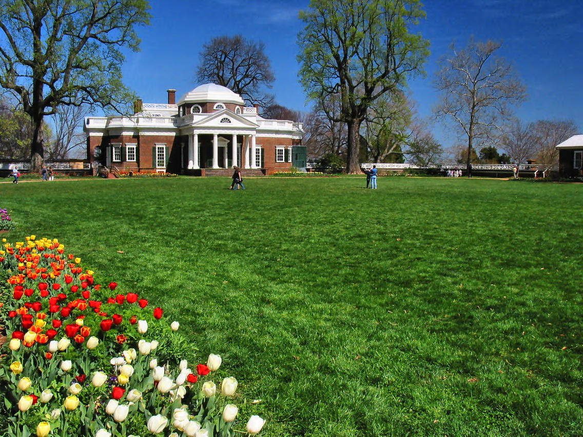 Tulpen vor Monticello