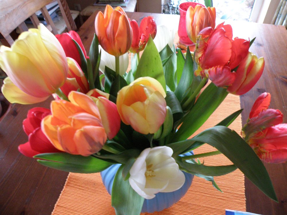 Tulpen zum Frauentag