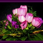 Tulpen zum Geburtstag