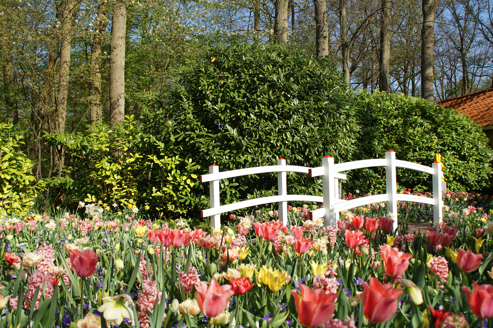 Tulpenbrücke