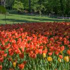 Tulpenfest auf Schloss Pralormo/Piemont 2.