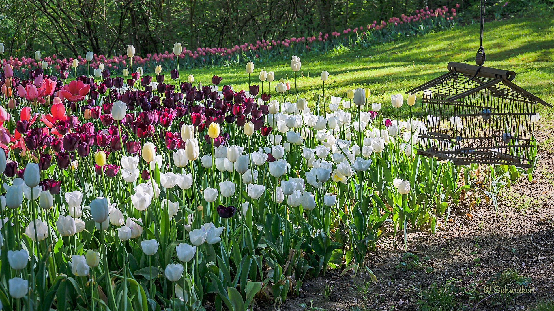 Tulpenfest auf Schloss Pralormo/Piemont