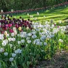 Tulpenfest auf Schloss Pralormo/Piemont