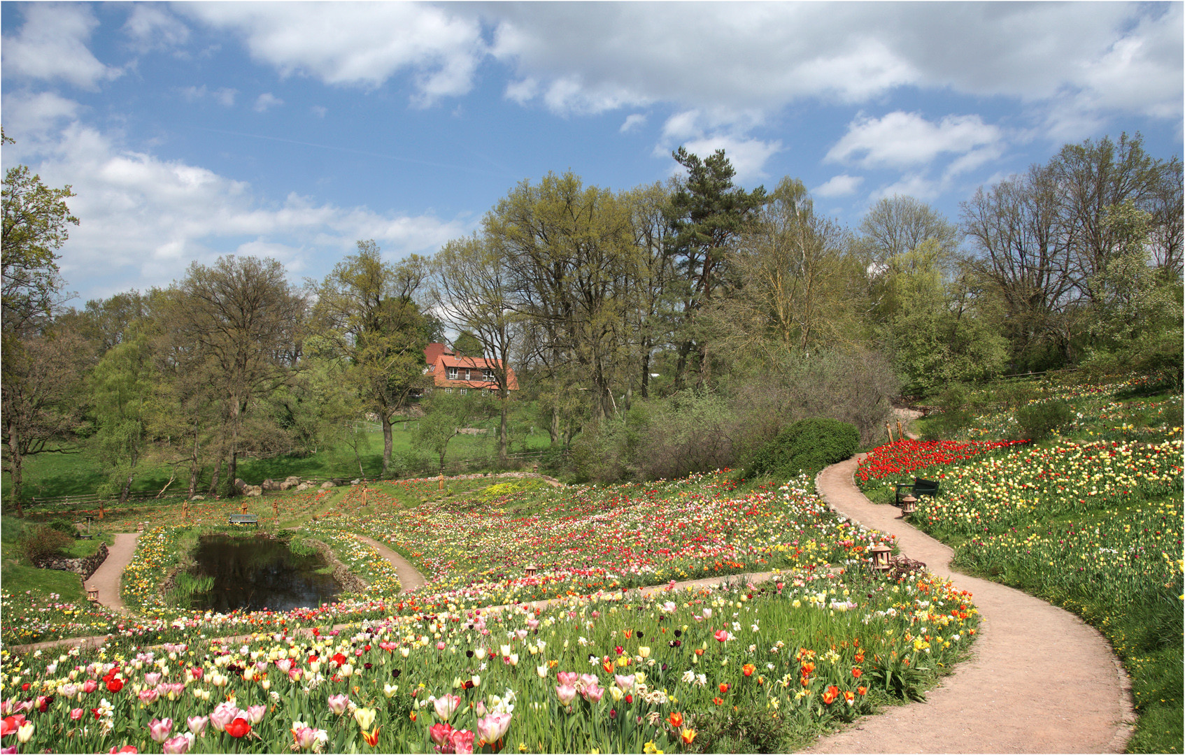 Tulpenfrühling