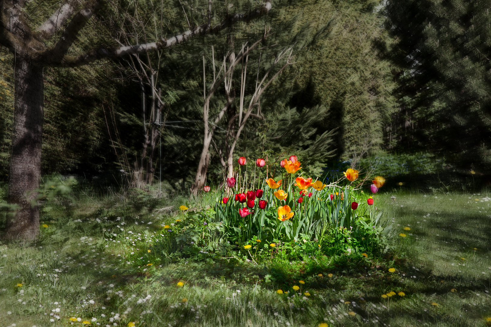 Tulpeninsel