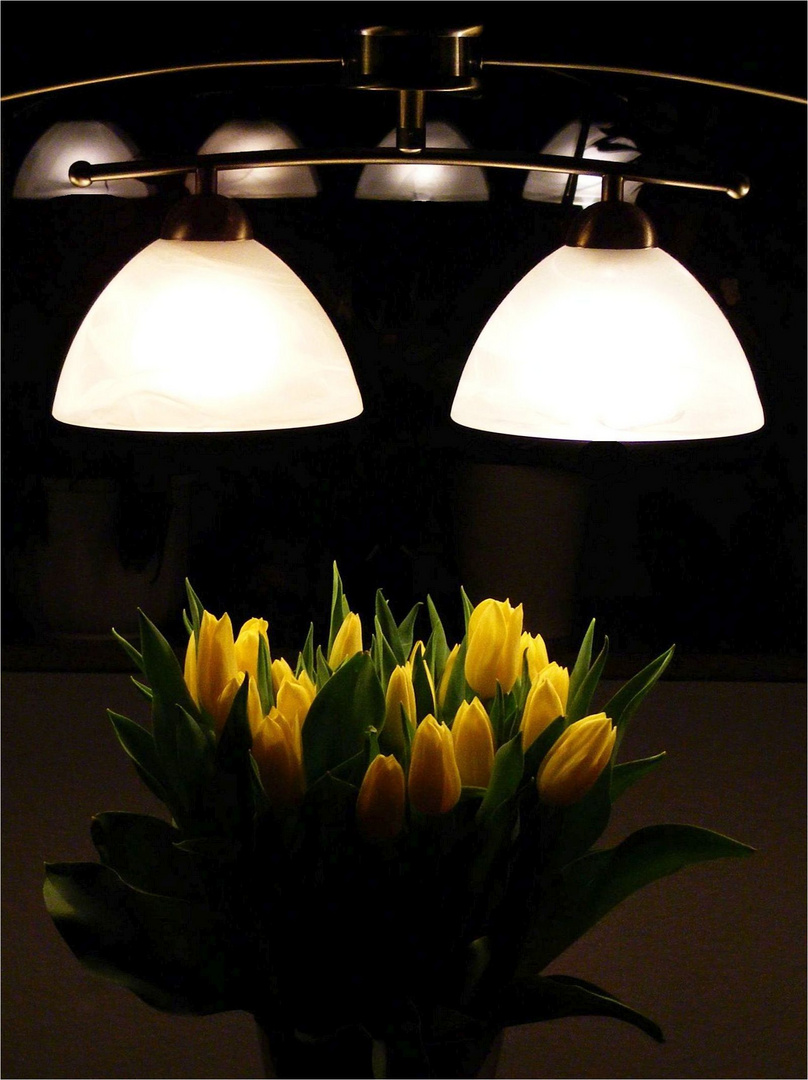 Tulpenleuchten