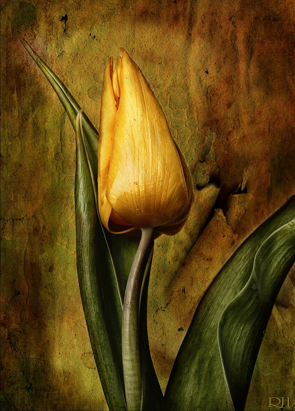 Tulpenmalerei