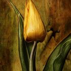 Tulpenmalerei