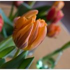 ***   tulpenmeer   ***