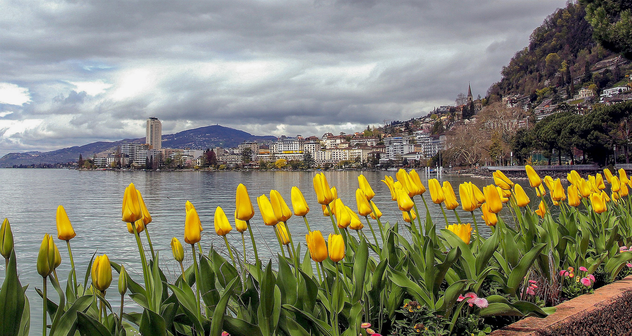 Tulpenparade