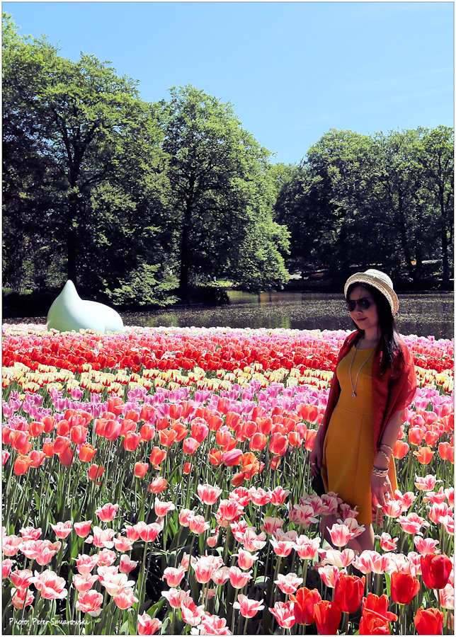 Tulpenparadies Keukenhof 2016