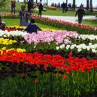 Tulpenpark  in Morges VD