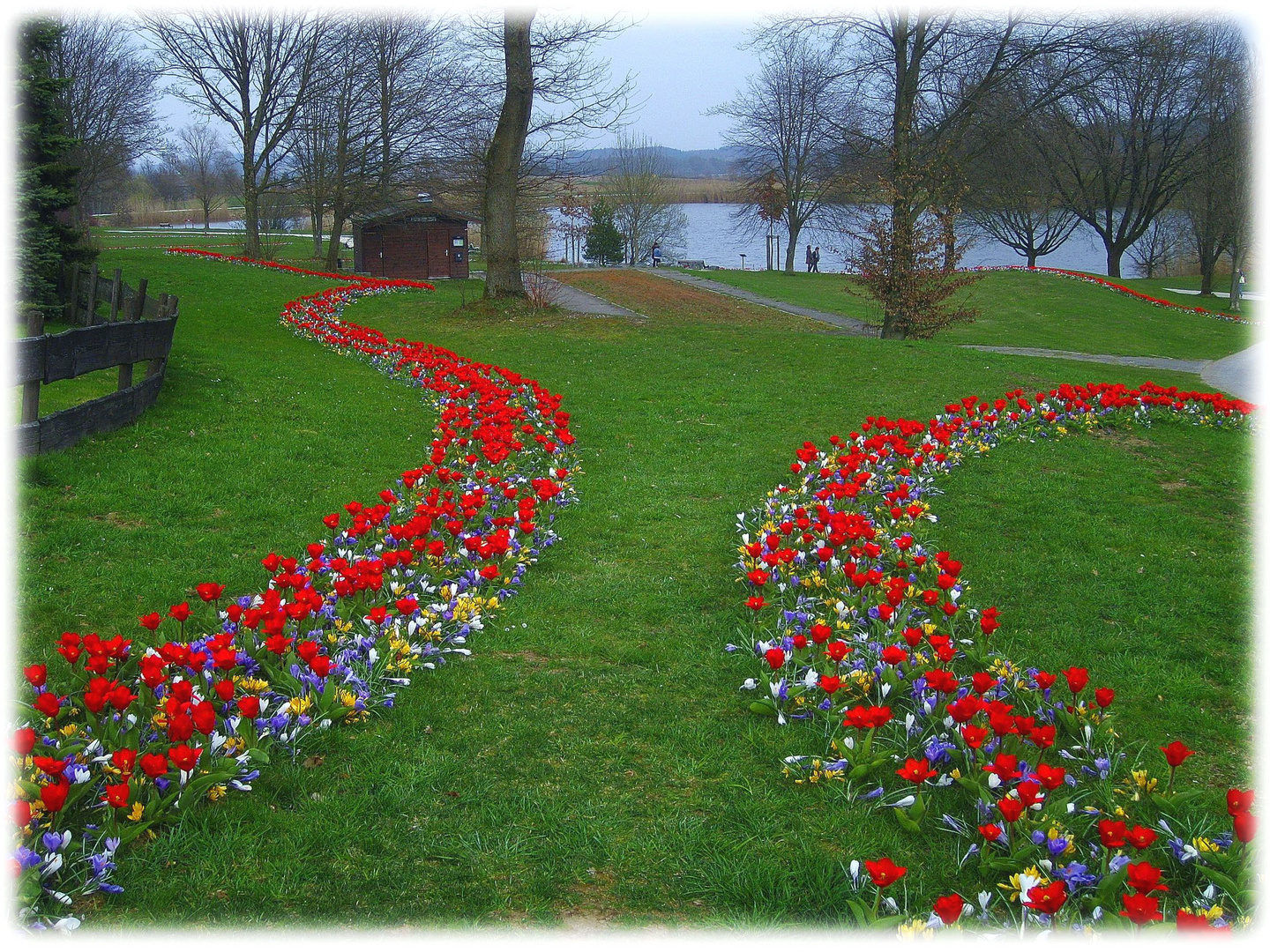 Tulpenpfad am See