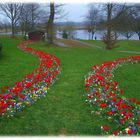 Tulpenpfad am See