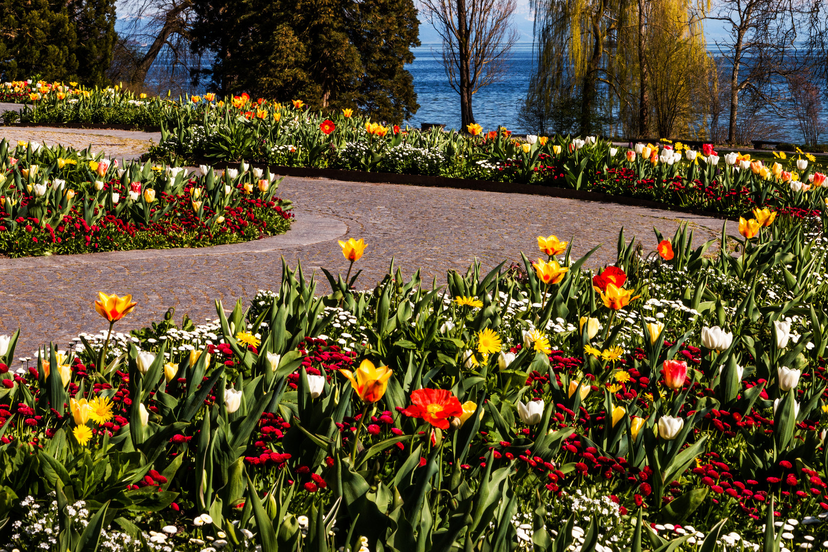 Tulpenpracht auf Mainau