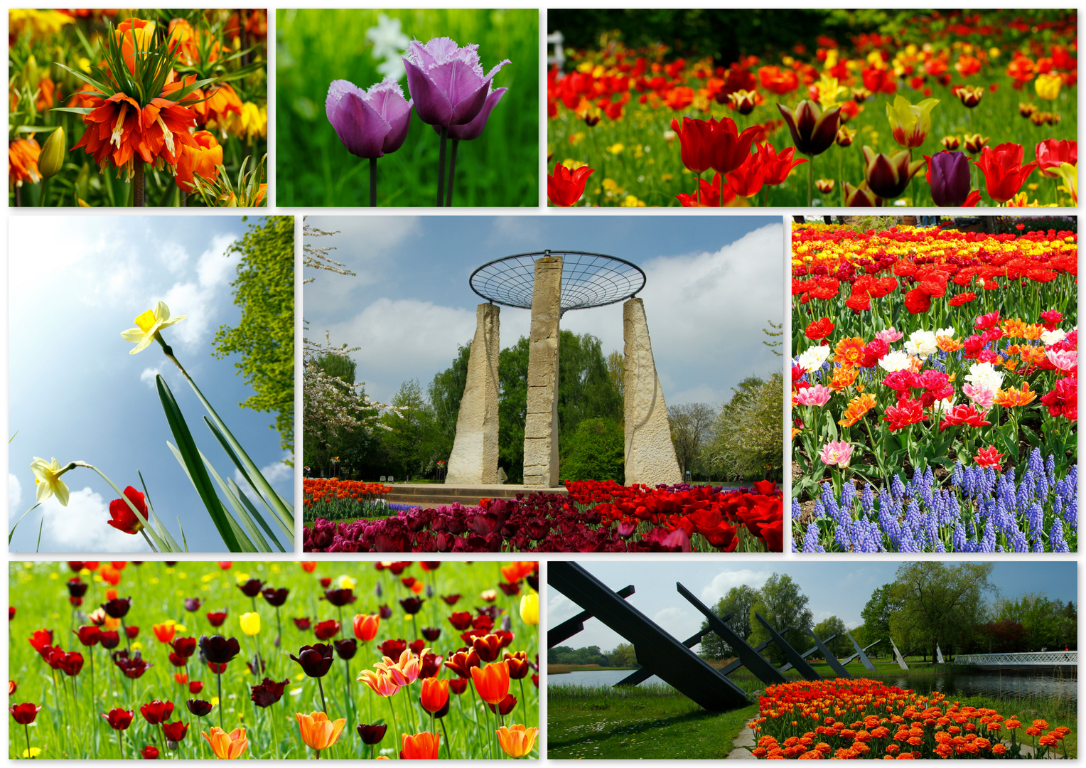 Tulpenpracht im Britzer Garten