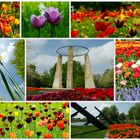 Tulpenpracht im Britzer Garten