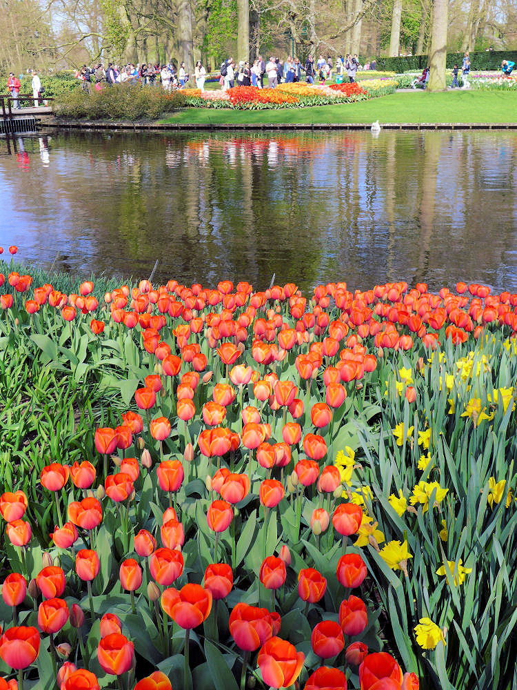 Tulpenprozession zum Wasser